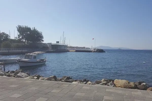 Turgutreis Amiral Cafe - Resim 8