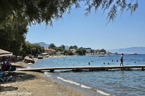Turgutreis Amiral Cafe - Resim 13