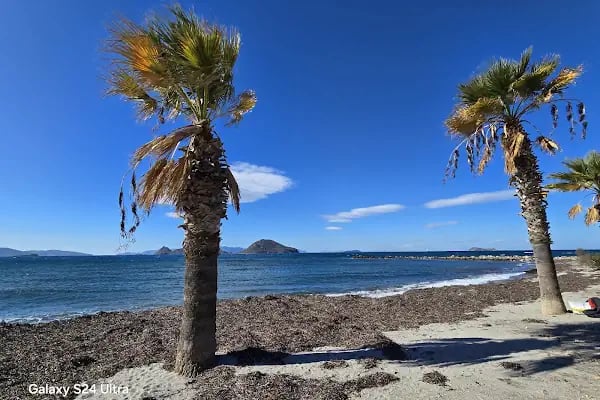 Turgutreis Amiral Cafe - Resim 4
