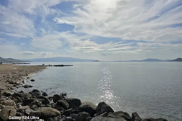 Turgutreis Amiral Cafe - Resim 12