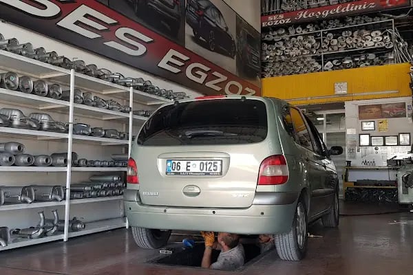 SES EGZOZ PURSAKLAR - Resim 20