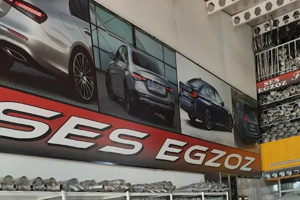 SES EGZOZ PURSAKLAR - Resim 3