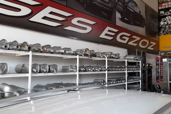 SES EGZOZ PURSAKLAR - Resim 18
