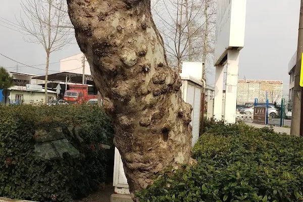 Uludağ Organize Sanayi Bölge Müdürlüğü - Resim 14