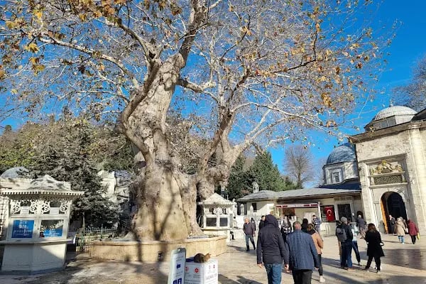 Eyüp Teleferik - Resim 18
