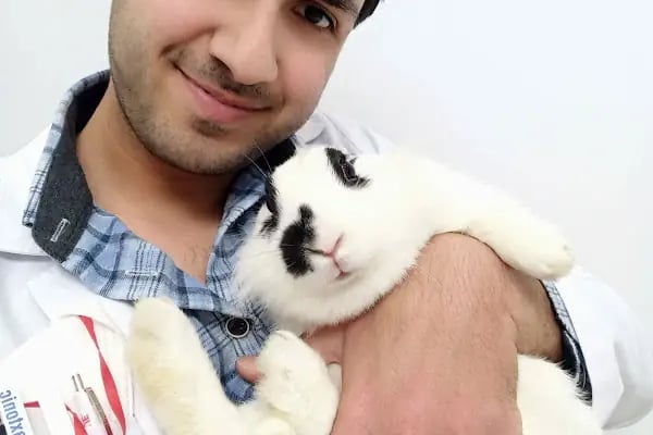 Arnavutköy VetLife Veteriner Kliniği - Resim 16