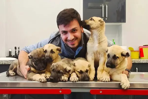 Arnavutköy VetLife Veteriner Kliniği - Resim 18
