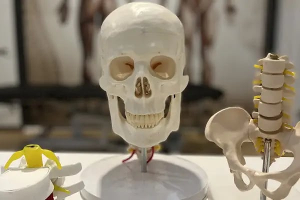 Osteopat Uzman Fizyoterapist Nuri Usta, Fizyoterapi Ve Rehabilitasyon - Resim 4