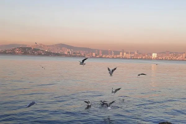 Büyükada Vapur İskelesi - Resim 5