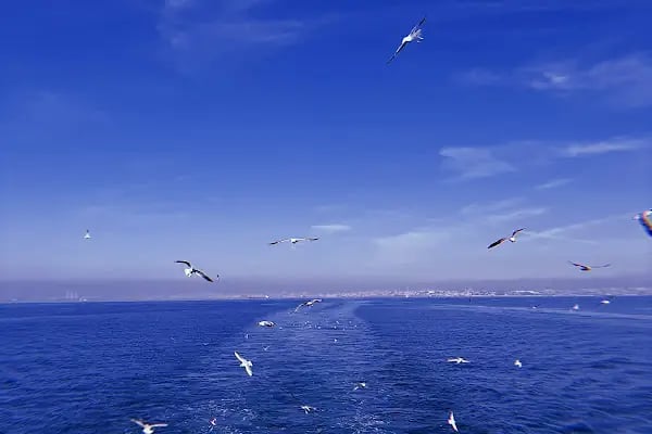 Büyükada Vapur İskelesi - Resim 2