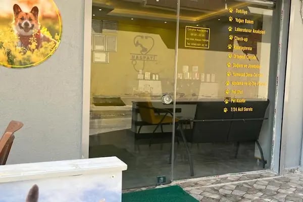 HasPati Veteriner Kliniği - Resim 3
