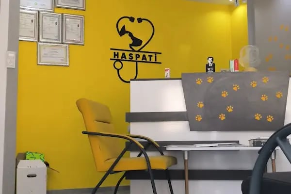 HasPati Veteriner Kliniği - Resim 10
