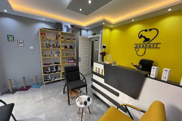 HasPati Veteriner Kliniği - Resim 13