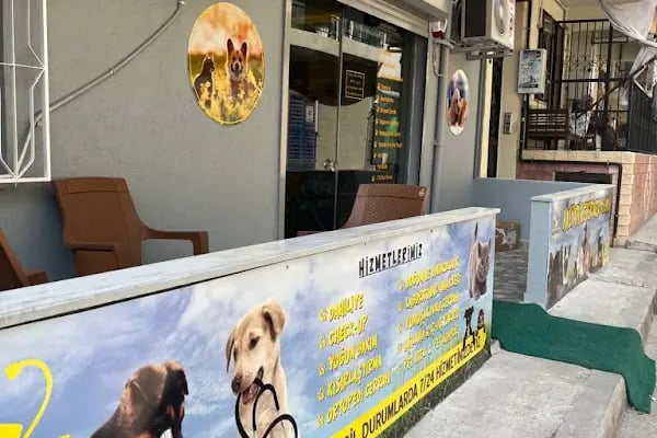 HasPati Veteriner Kliniği - Resim 4