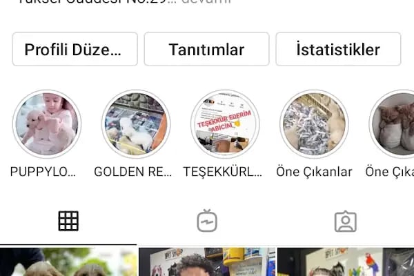 Şansli patiler petshop - Resim 12
