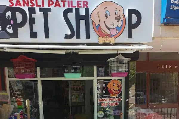 Şansli patiler petshop - Resim 11