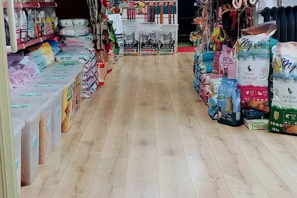 Şansli patiler petshop - Resim 5