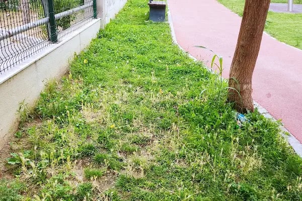 Kadın Hakları Parkı - Resim 18