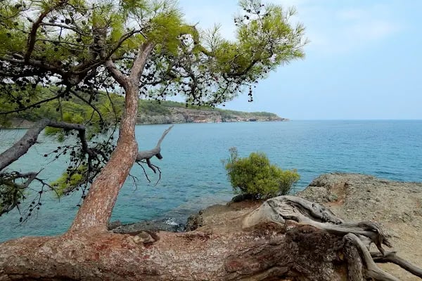Phaselis beach - Resim 2