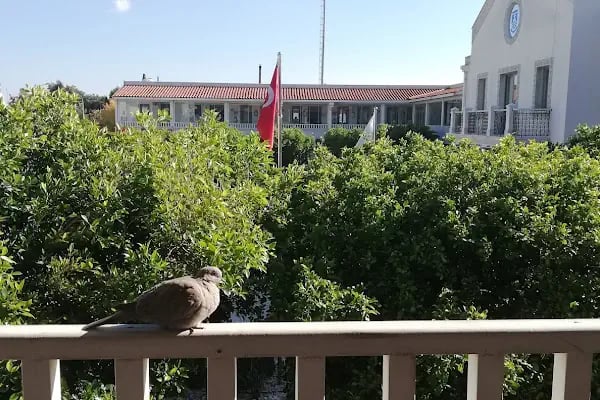 Bodrum Belediye Başkanlığı İmar ve Şehircilik Müdürlüğü Hizmet Binası - Resim 18