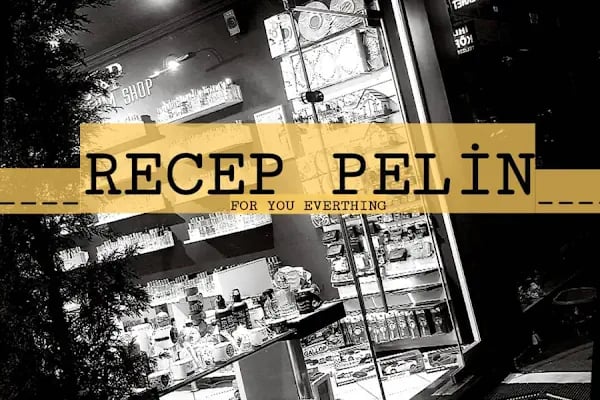RECEP PELİN - Resim 3