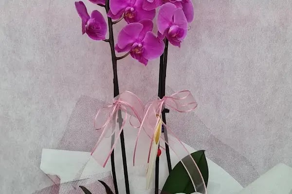 Ivy istanbul Flowers&amp;Cafe - Resim 20