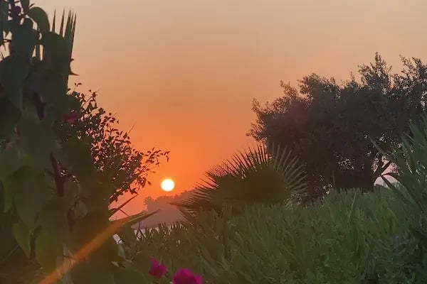Sunis Efes Royal Palace Resort Hotel - Resim 4