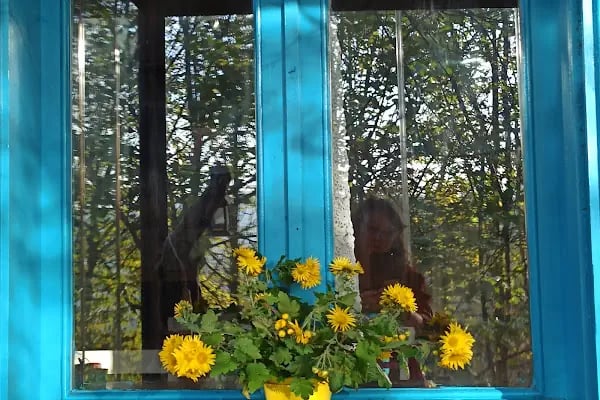 Karaca Dağ Evleri / Mountain Houses - Resim 16