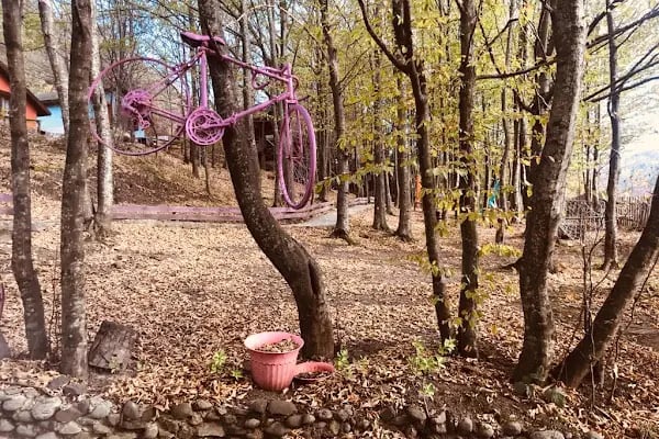 Karaca Dağ Evleri / Mountain Houses - Resim 18