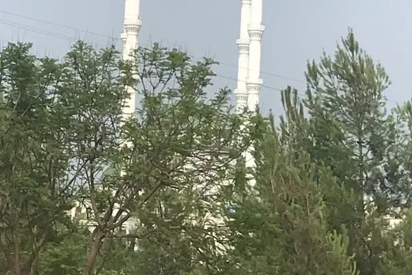 HALLKENT EMİR SULTAN CAMİİ - Resim 15