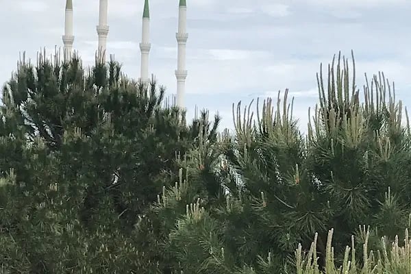 HALLKENT EMİR SULTAN CAMİİ - Resim 20