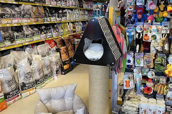 Foxy Pet Shop Akçay - Resim 3