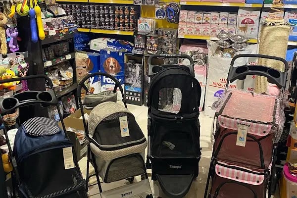 Foxy Pet Shop Akçay - Resim 16