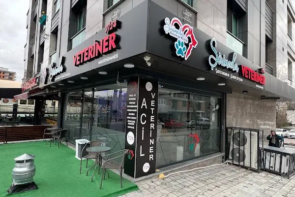 Şirinevler Veteriner Kliniği - Resim 4