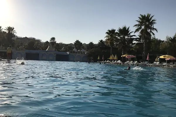 Aqua Club Dolphin - Resim 14