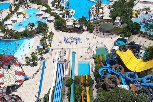 Aqua Club Dolphin - Resim 12