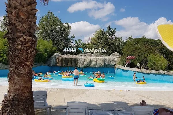 Aqua Club Dolphin - Resim 16