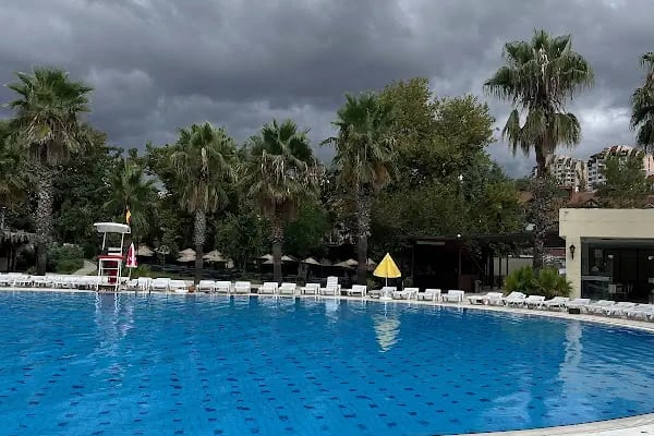 Aqua Club Dolphin - Resim 4