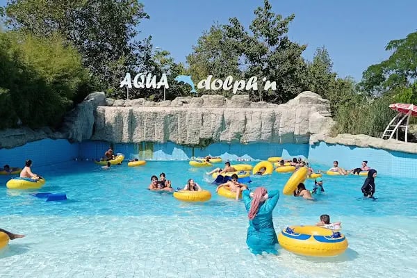 Aqua Club Dolphin - Resim 6