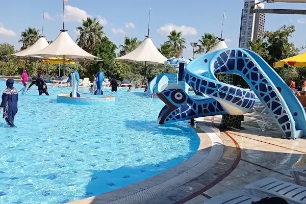 Aqua Club Dolphin - Resim 8