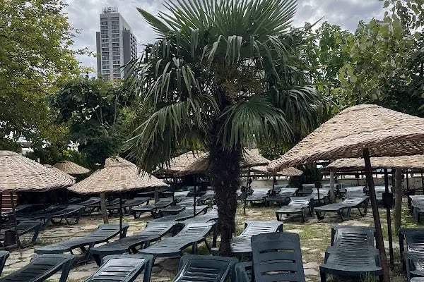 Aqua Club Dolphin - Resim 20