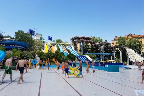 Aqua Club Dolphin - Resim 2