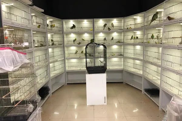 Emirhan akvaryum&amp;petshop - Resim 3