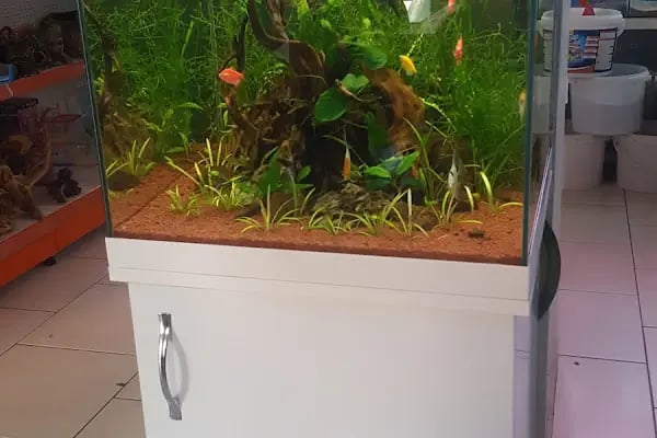 Hobby Akvaryum - Resim 2