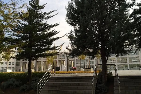 Nilüfer Nüfus Müdürlüğü - Resim 10