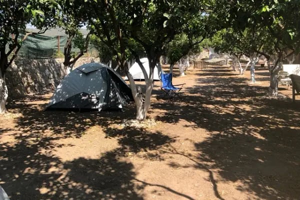 Mandalin Camping - Resim 20
