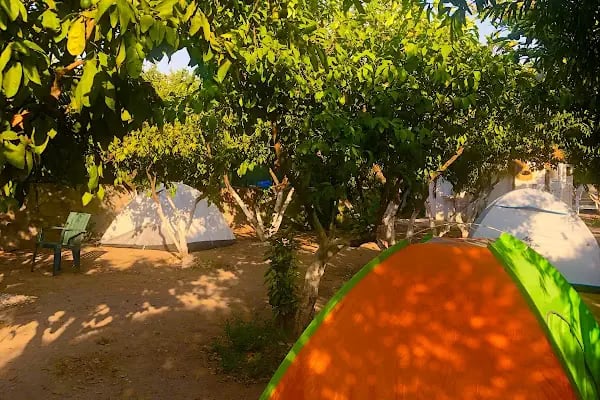 Mandalin Camping - Resim 3