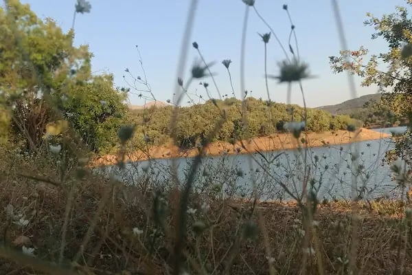 Çiftliközü Göleti - Resim 5