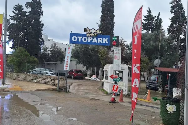 Bodrum Limonlu Bahçe Oto Yıkama - Resim 6
