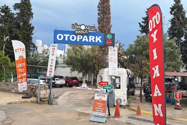 Bodrum Limonlu Bahçe Oto Yıkama - Resim 1